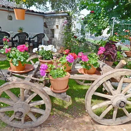 Danica Apartament Poreč
